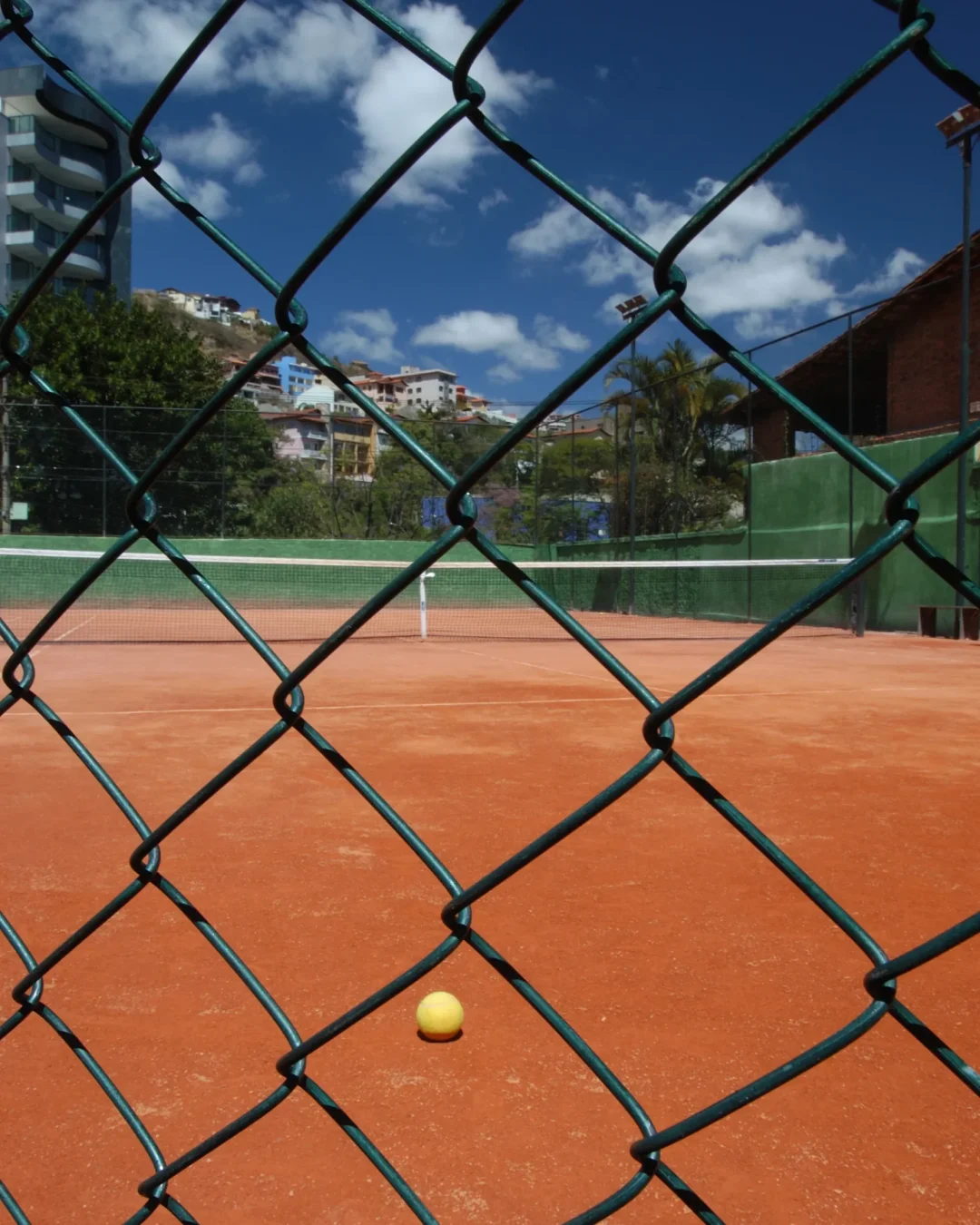 ALAMBRADO (2) copiar