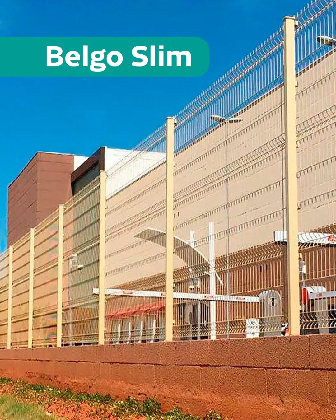 BELGOSLIM-WEBP.webp
