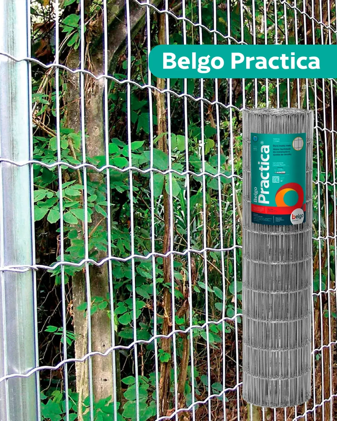 belgo-practica.webp