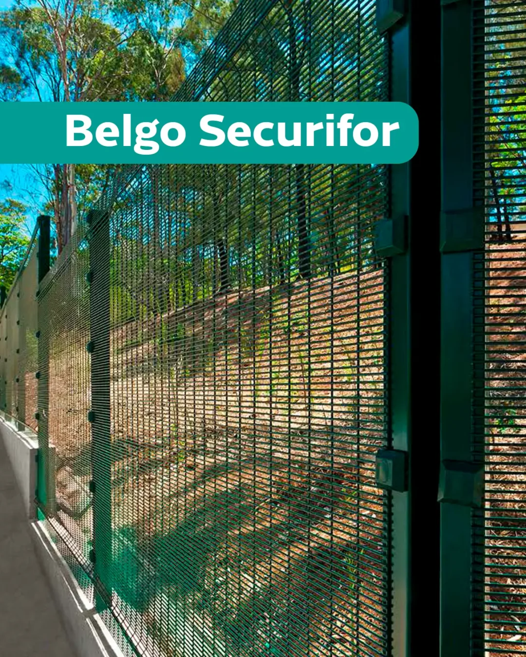 secufirfor-webp.webp